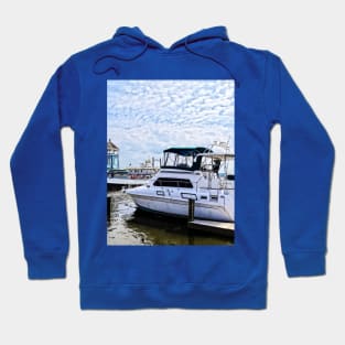 Alexandria VA - Cabin Cruisers by Founders Park Hoodie